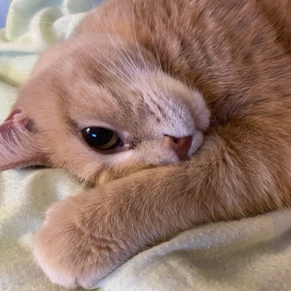 Just my profile. Not much to see here - Picture 1 of 1